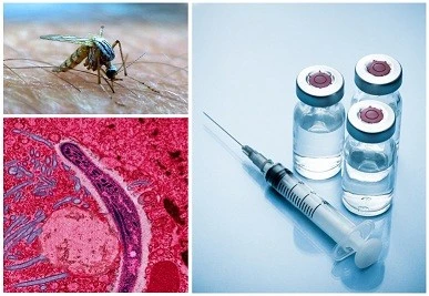 Malaria Treatment Market Size, Share &amp; Trends Analysis Report By End-use , By Application , And Segment Forecasts, 2022- 2032