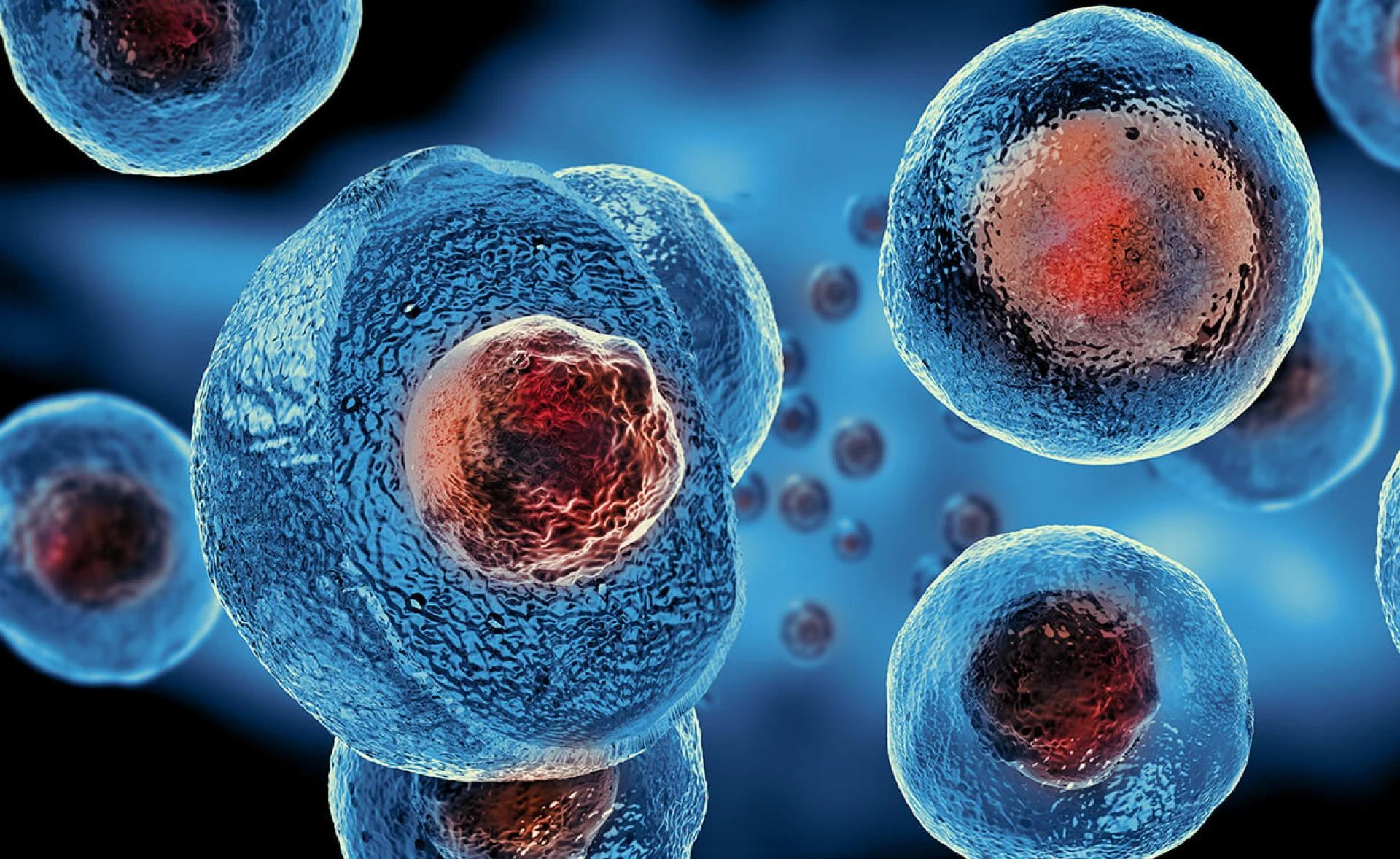 Stem cell therapy Market Size, Share &amp; Trends Analysis Report By End-use , By Application , And Segment Forecasts, 2022- 2032