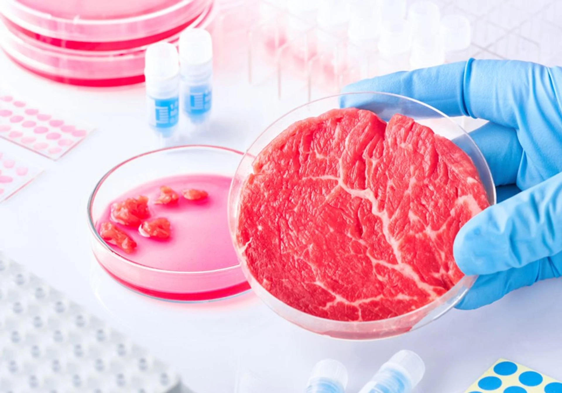Cultured Meat Market By Labelling,Form,Type,Application,Region