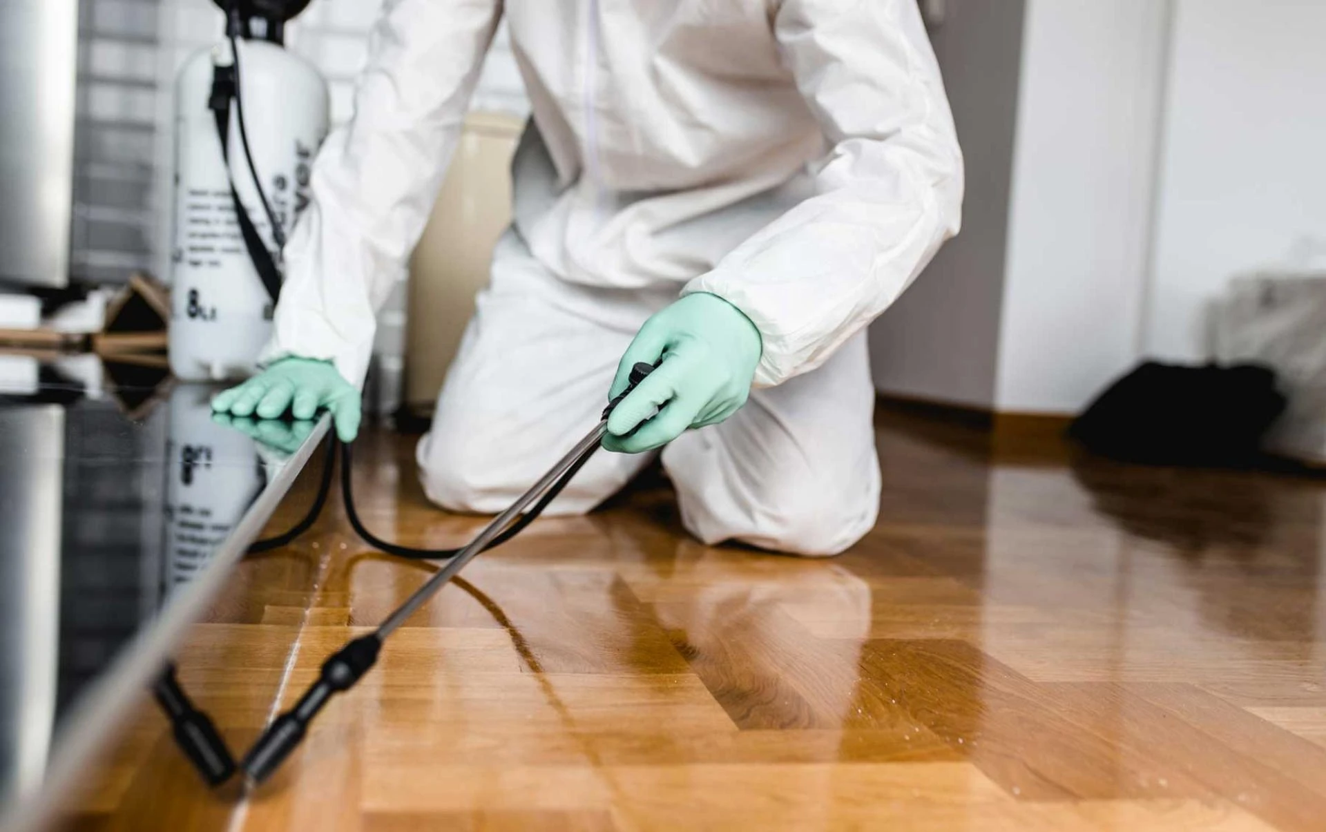 5 Good Reasons Why Pest Control Is Important In Whittlesea Homes