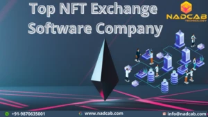 Top NFT Exchange Software Company