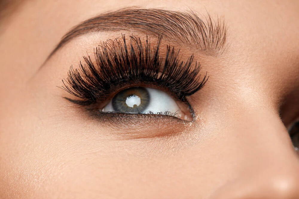Eye Lash Salon