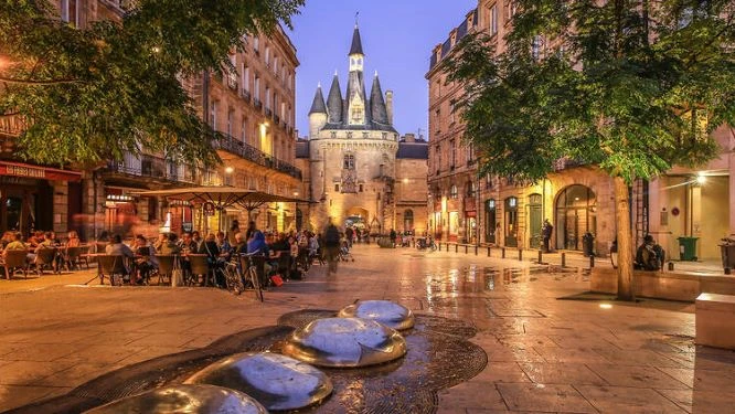 Exploring the Wine Regions of France: From Bordeaux to Burgundy