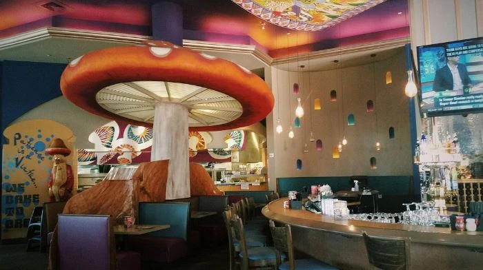 The Rise of Psychedelic Cannabis Shops: A New Frontier in Wellness