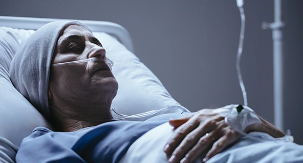 Hospice and palliative care centres are an integral part of the complex healthcare system