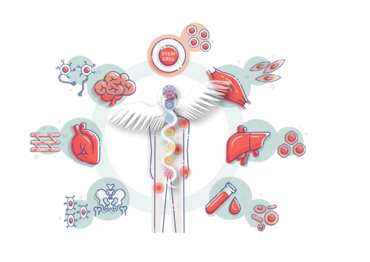Regenerative Medicine Treatment: Potential to Revolutionise Medicine