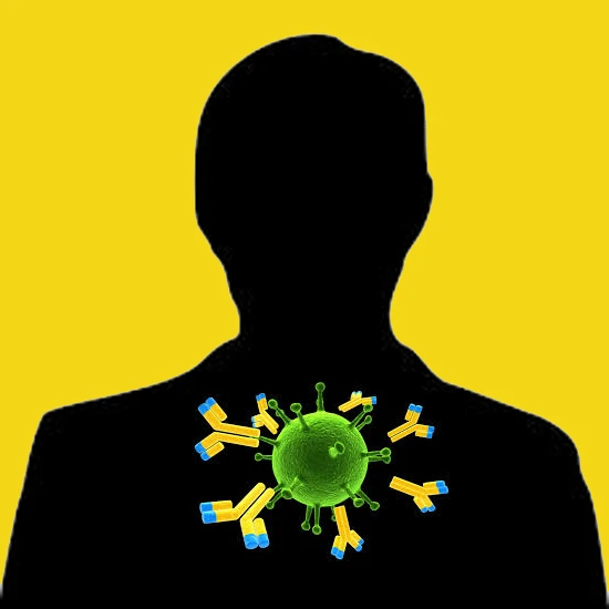 Anti-Cathepsin B Helps On Activation of Enzyme Precursors, Along With Metastasis and Tumor Invasion,