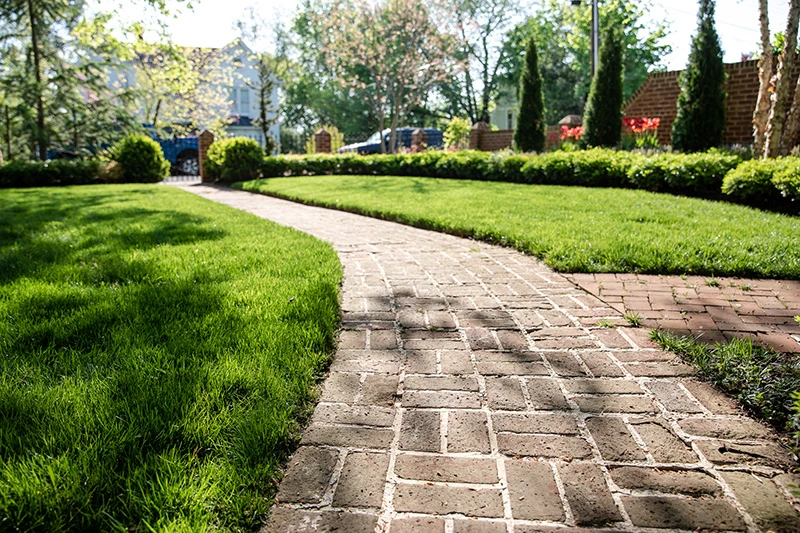 Revamp Your Outdoor Space: How Lawn Care Services Can Make a Difference