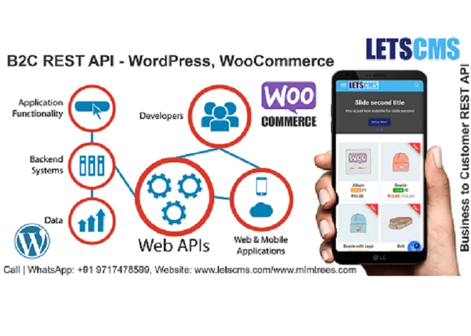 WooCommerce B2C | Business To Customer REST API Addons in United States
