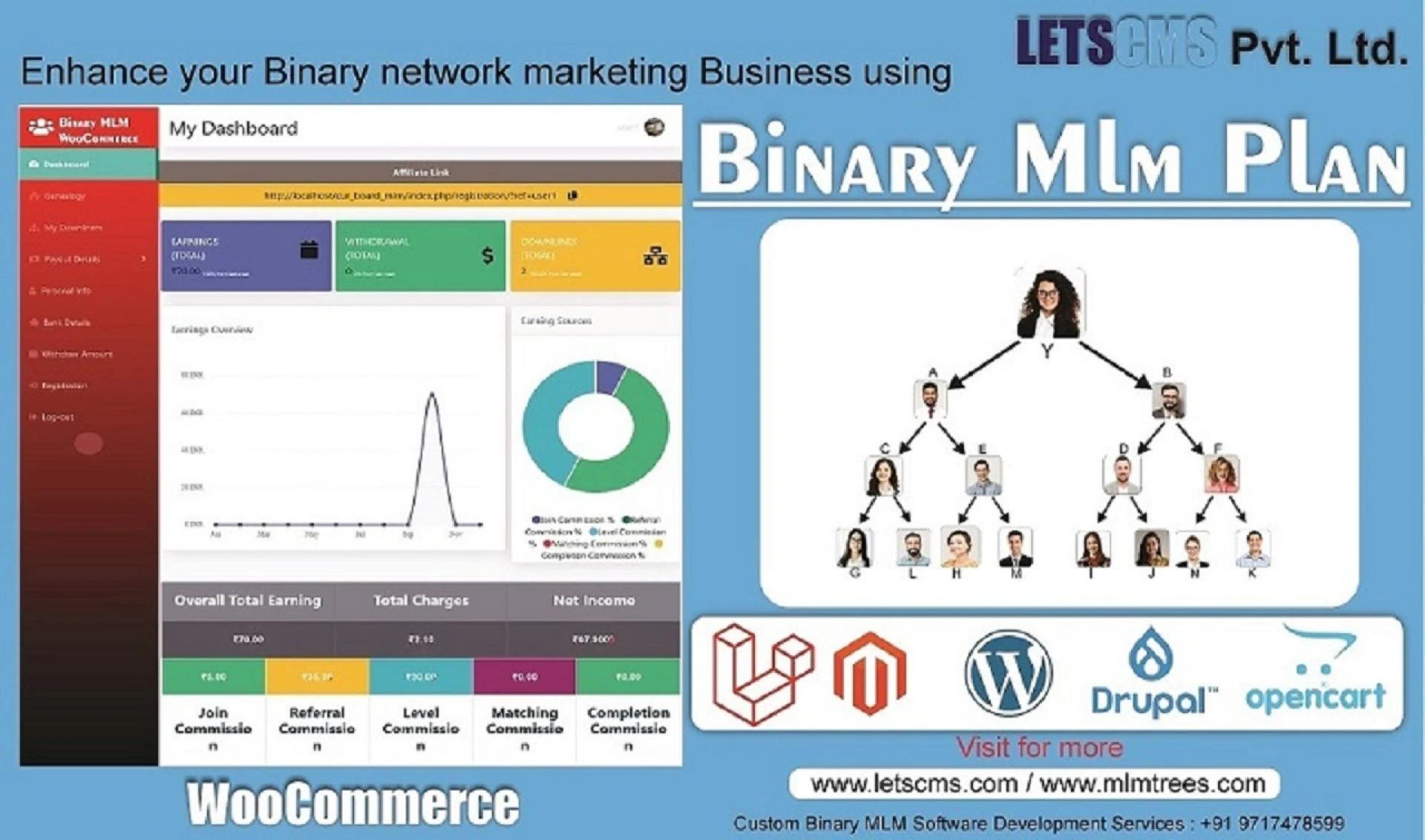 Binary MLM Plan Code &amp; Scripts | Custom CMS Development Services