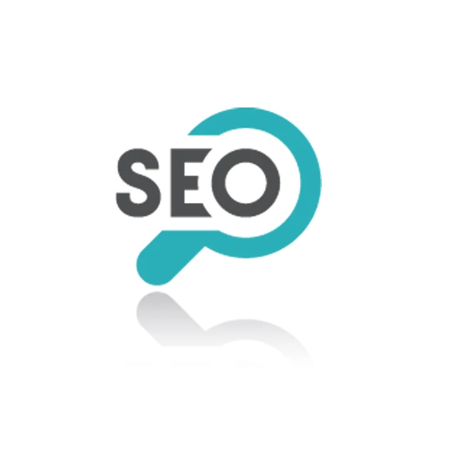 Professional SEO Services