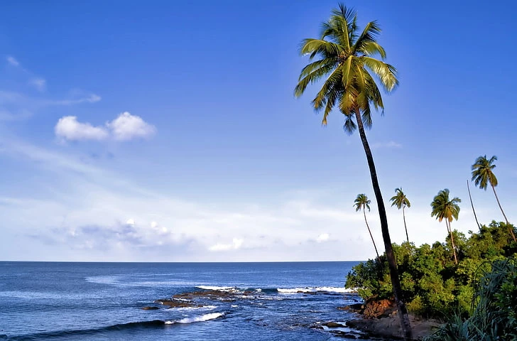 Best Holiday Tour Packages In the Andaman - Contact Us Now