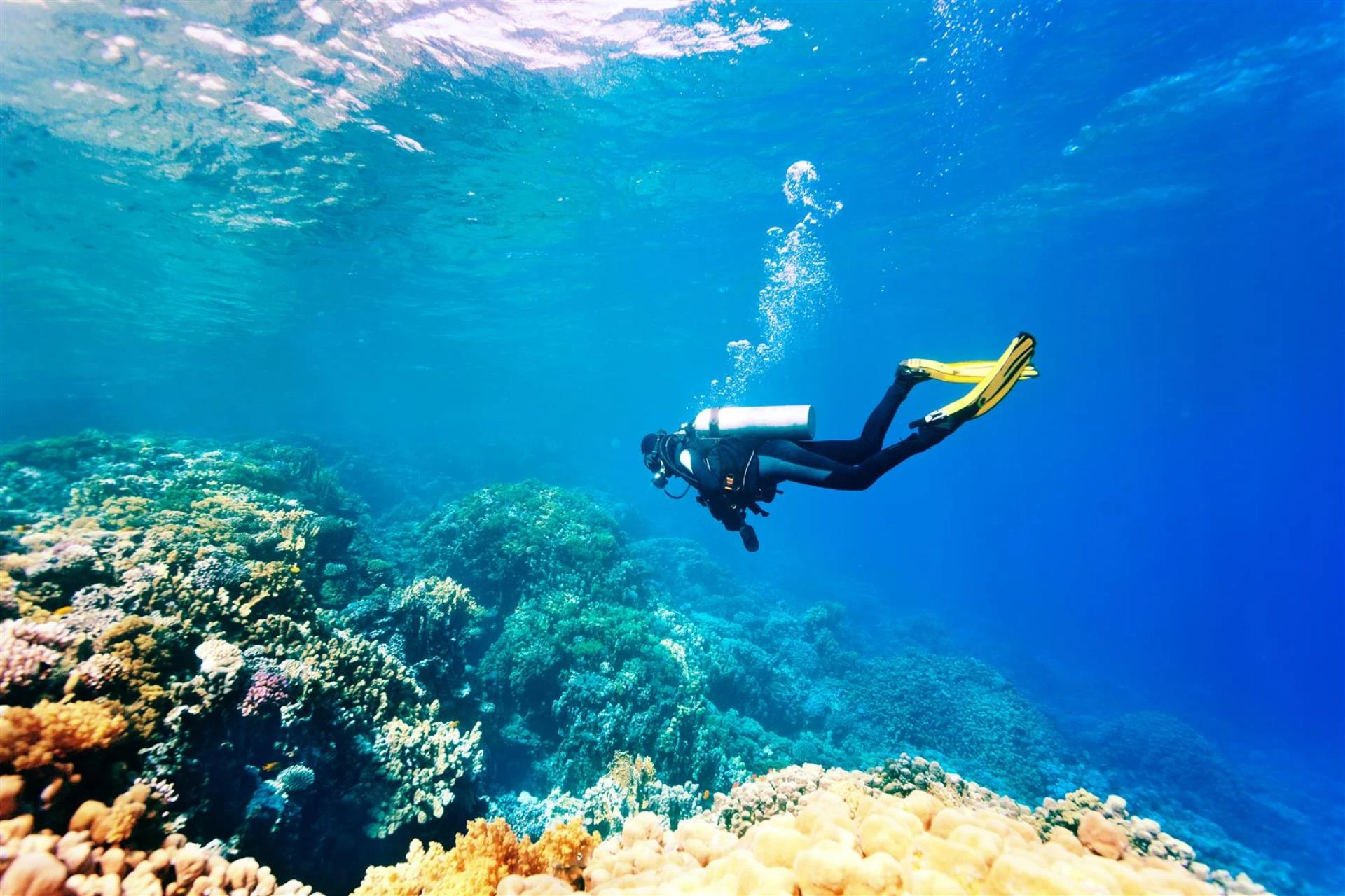 Best andaman package Tours &amp; travels agency - Holiday Treasure India - Contact Us Now
