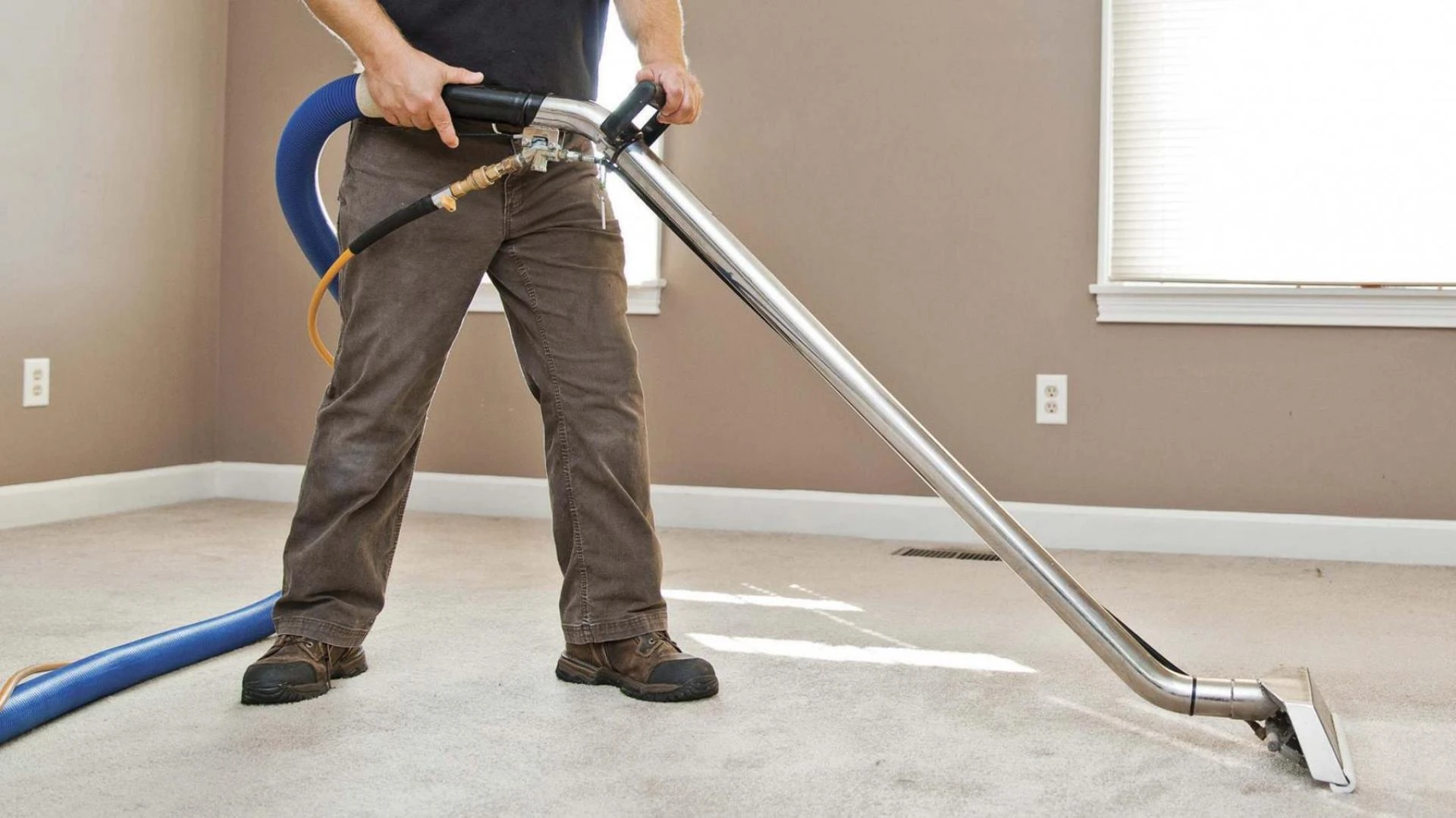 How to Choose the Right Rug Cleaning Method in Pinkenba