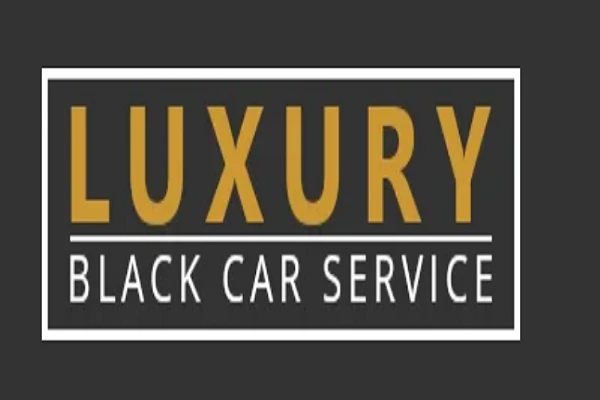 Digital Marketing Trends in 2024: A Focus on SEO