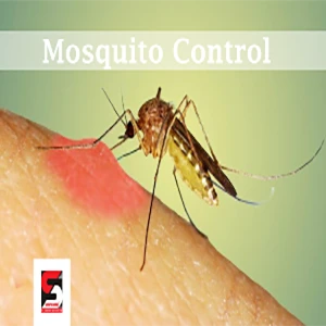 Pest Control Services in Bandra by Sadguru Pest Control