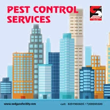 Pest Control Services in Lower Parel - Sadguru Pest Control