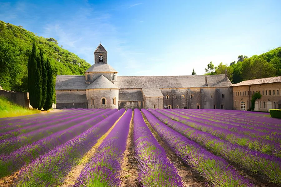 The Top 10 Instagrammable Spots to visit in Sri Lanka