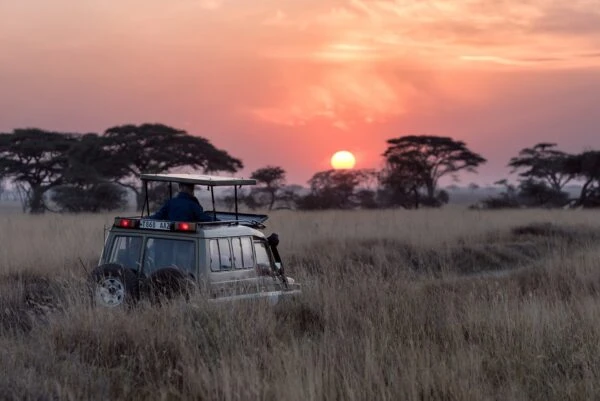 Top 5 Best Luxury Safari Accommodations in Kenya