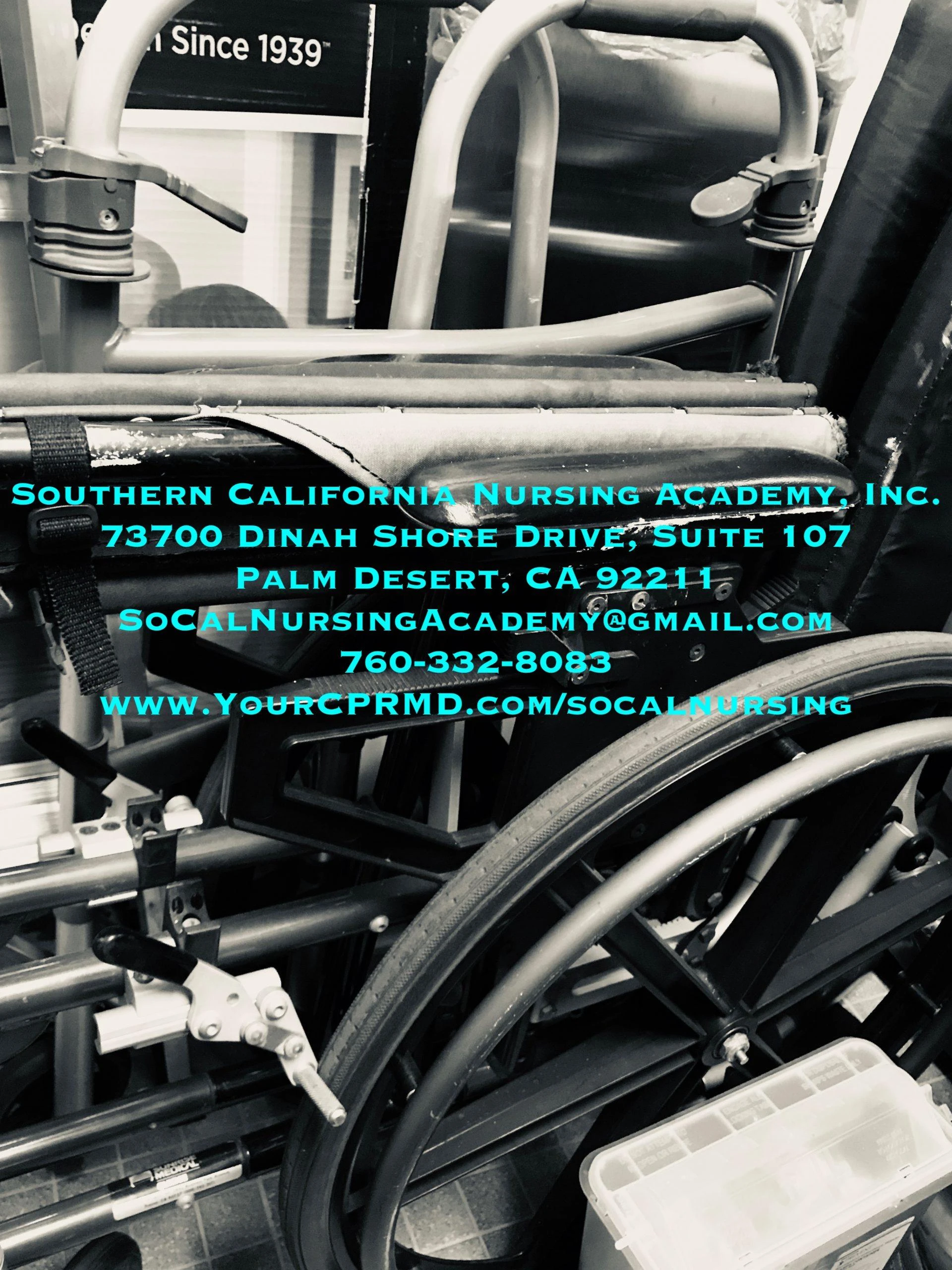 Certifications, Roles, Attributes, and Other Requisites for a Successful Certified Nursing Assistant