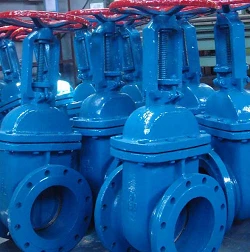 Rising stem Gate valve manufacturer in India