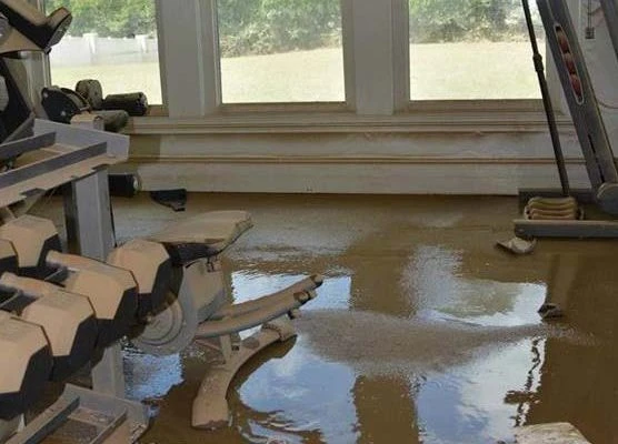5 Key Steps to Effective Flood Damage Restoration Sydney Services 