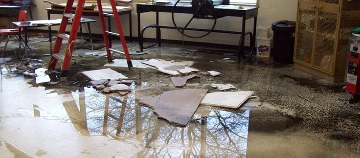 Common Techniques Used in Water Damage Restoration Adelaide 