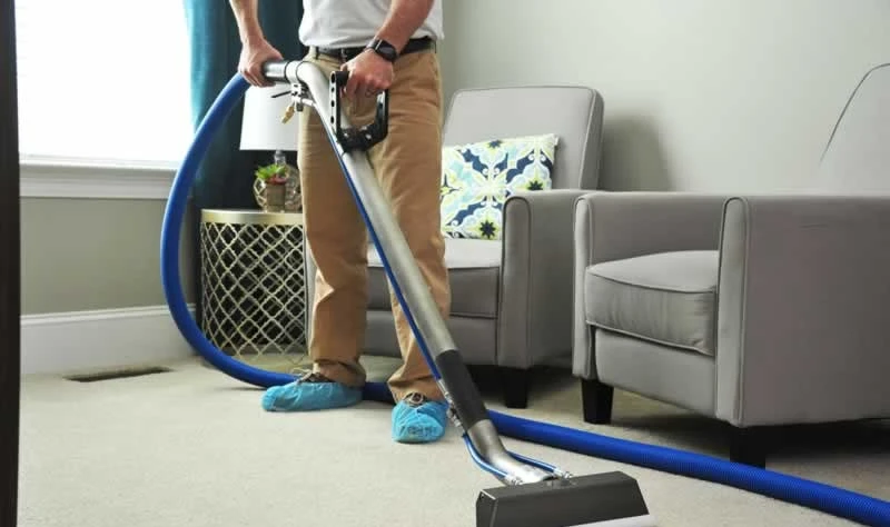 The Importance of Professional Carpet Cleaning Services Melbourne