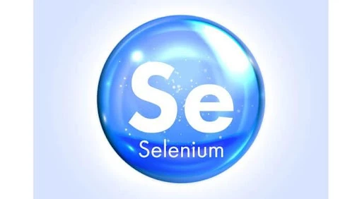 Top 5 Factors Which Will Decide The Future Demand Of Web Scraping using Selenium
