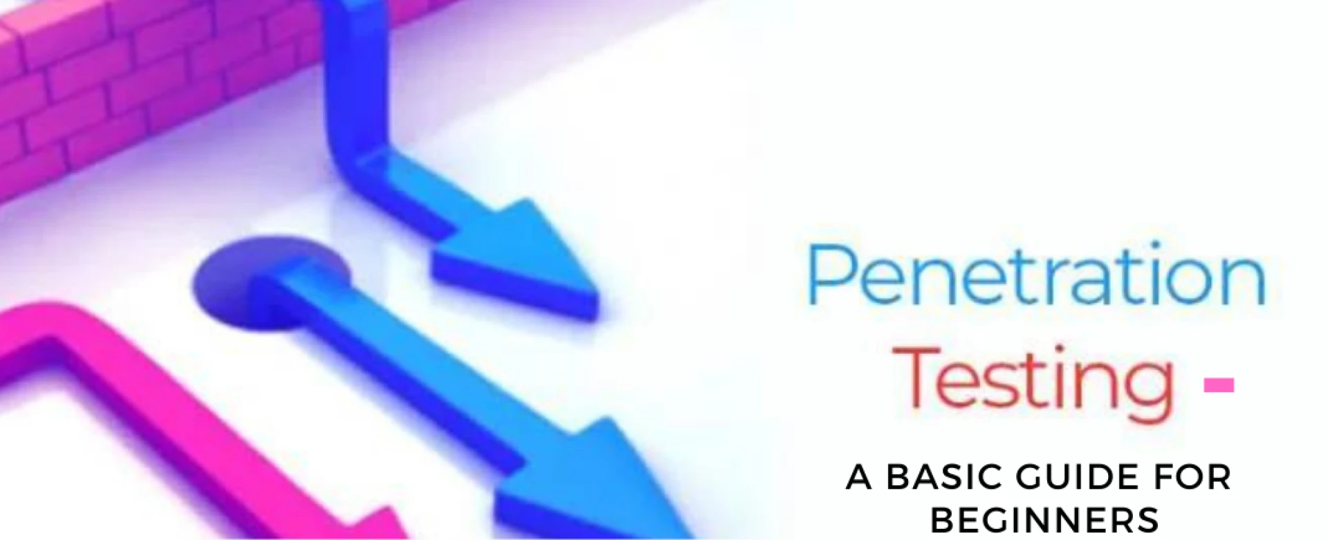 Penetration Testing – A Basic Guide for Beginners