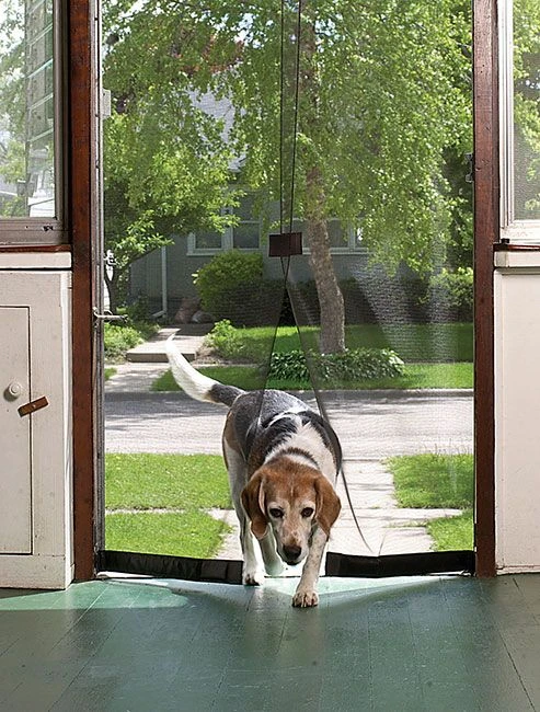 Complete Window Screens Rocklin CA