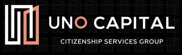 Accelerate Your Global Mobility with Dubai's Premier Citizenship Experts