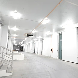 Chilling Challenges, Ice-Cool Solutions: Navigating the Demands of Cold Storage Warehousing with Cutting-Edge Efficiency