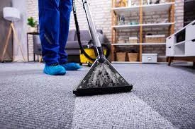 Protecting Your Family's Health with Carpet Cleaning Services