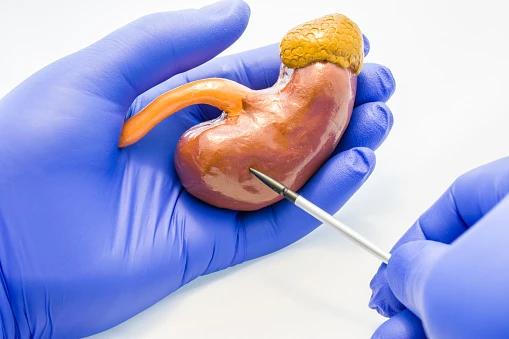 Congenital Adrenal Hyperplasia Market 2020 | Growth Drivers Challenges, Trends and Industry Dynamics, Forecast 2030