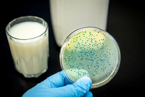 Brucellosis Market 2020 Global Outlook, Research, Trends and Forecast to 2030