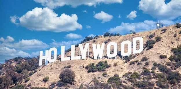 What is the Reason? Euphoria has gained sudden acclaim