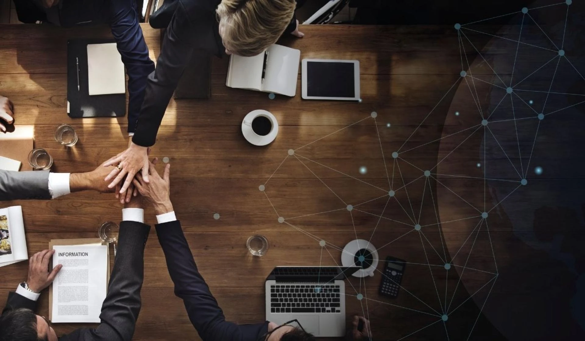 White Label Business Partnership Program