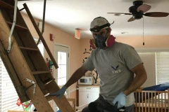 How Do I Get Bats Out of an Attic?
