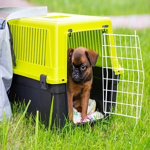 Pet Carriers Market Size, Estimation, Future Investments and Regional Forecast