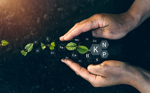 Chelated Trace Minerals Industry Analysis To Grow with Increased Worldwide Emphasis on Industrialization