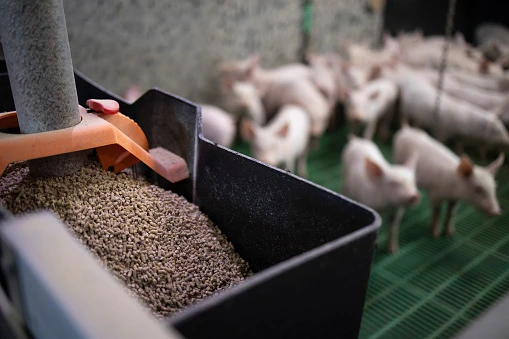 Feed Palatability Enhancers and Modifiers Market Opportunities and Challenges
