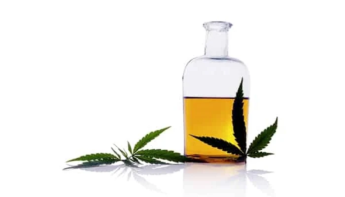 Hemp Oil Market Growing Popularity and Emerging Trends in the Global Market