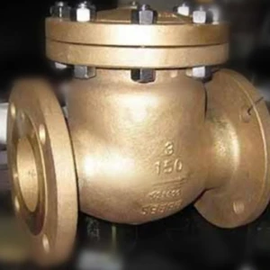 Aluminium Bronze Valve Manufacturer in India