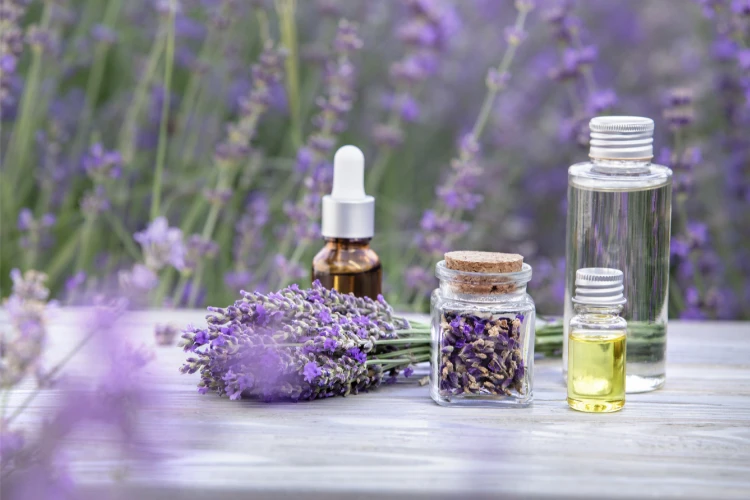 From Tea Tree To Lavender Check Out Essential Oils And Their Advantages