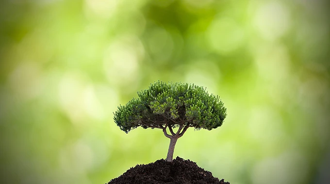 3 Key Considerations for Selecting the Right Environmental Consultancy