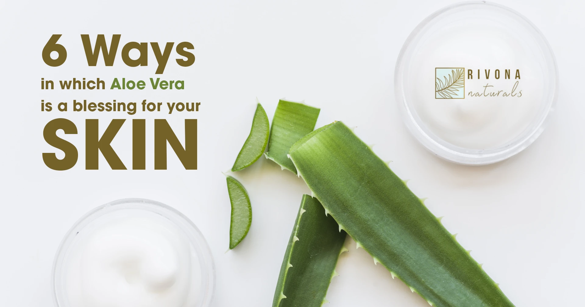 Reasons Why Aloe Vera is the Godsend Remedy to all Skin and Hair Care Issues