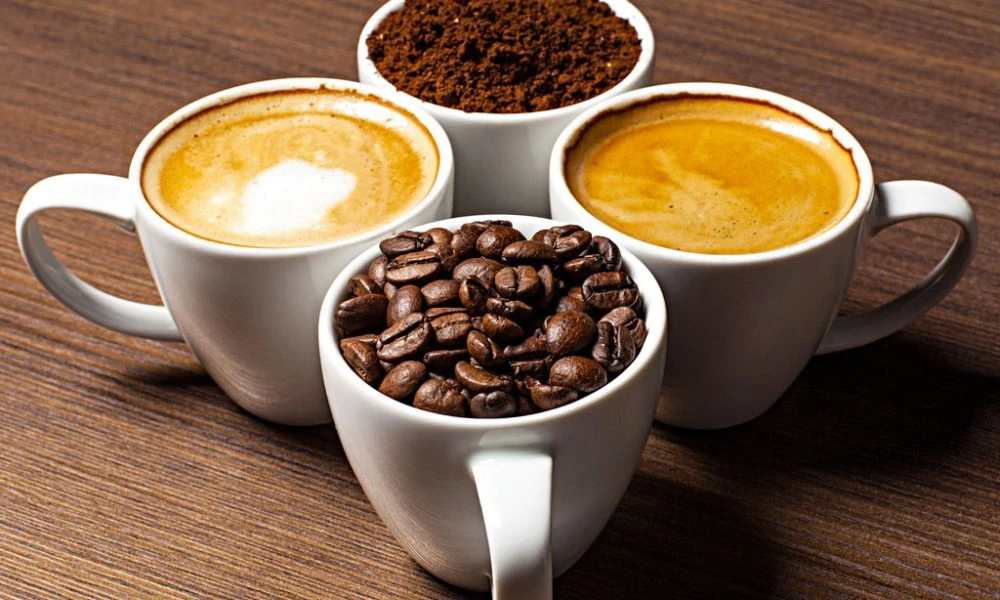 Deep Dive into the Techniques of Specialty Coffee Roasters