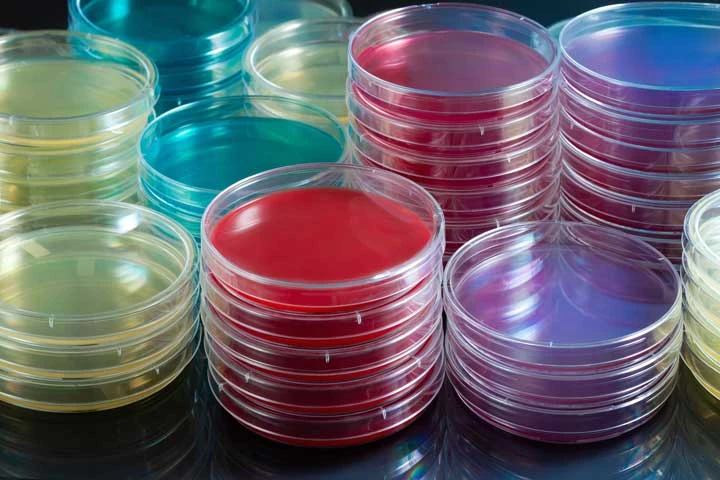 Culture Media Market is Attribute to Reach $5,736.5 Million Revenues by 2031