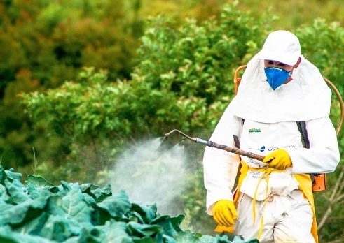 Exploring Agriculture Chemical Markets Growth, Share and Outlook